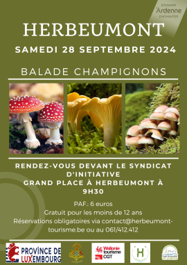 Balade champignons.png